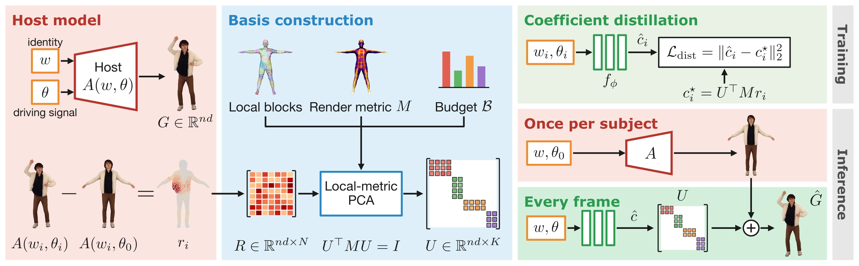 Overview of GALA: host model, basis construction, coefficient distillation, and inference once per subject and every frame.